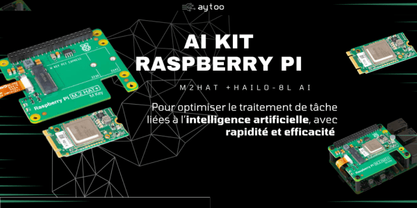 AI Kit Raspberry Pi